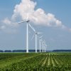 Agentūra: iki 2030-ųjų elektros iš saulės ir vėjo gamyba Lietuvoje išaugs keturis kartus
