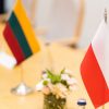 Premjerė apie ambasadoriaus Lenkijoje paieškas: tai – vis dar procese
