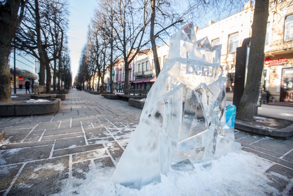 Kaunui padovanota ledo skulptūra – sugriauta (policijos vaizdo įrašas)