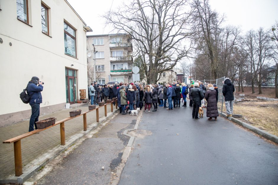 Protestuotojai nori gelbėti Kauko laiptų medžius