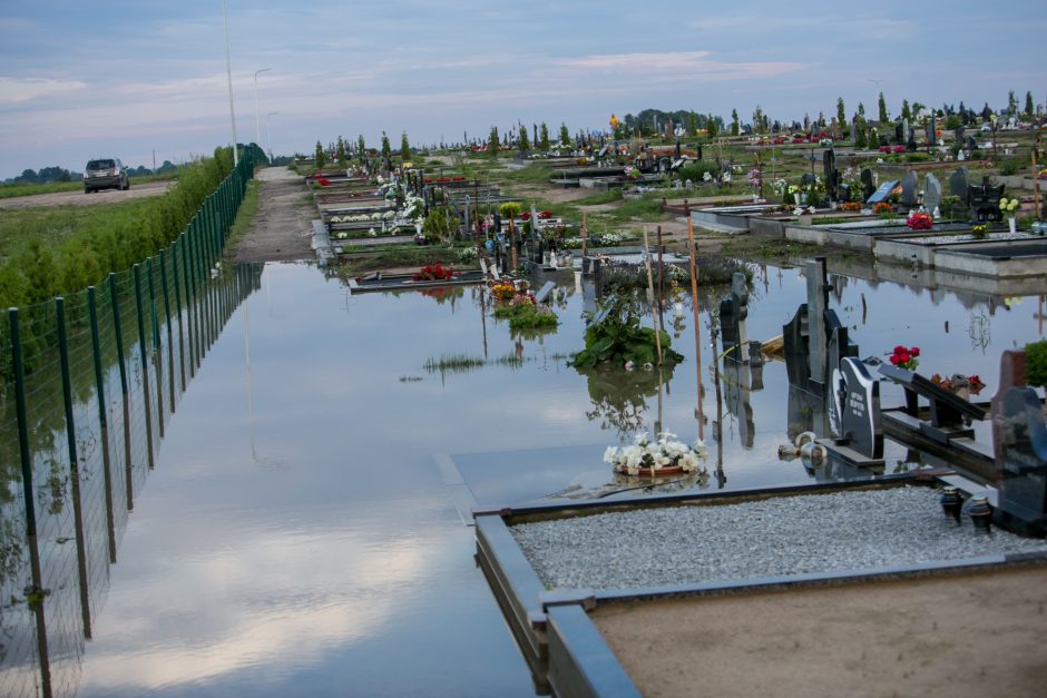 Vainatrakio kapinėse apsilankęs kaunietis: situacija čia siaubinga