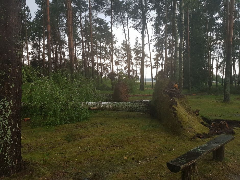 Lietuvoje siautė audra: virto medžiai, elektros neturėjo tūkstančiai žmonių