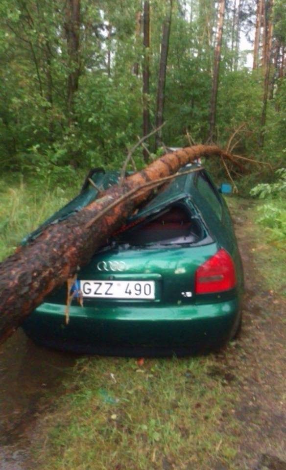 Lietuvoje siautė audra: virto medžiai, elektros neturėjo tūkstančiai žmonių