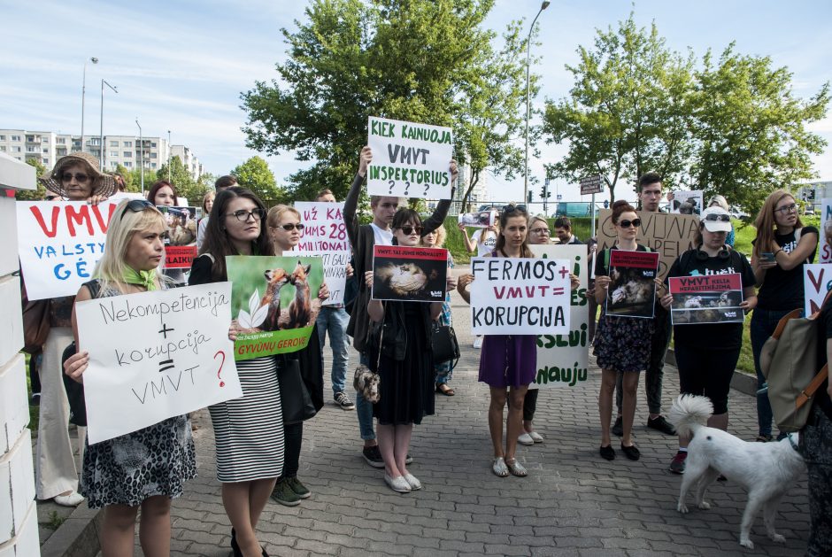 Gyvūnų teisių gynėjai protestavo prie Maisto ir veterinarijos tarnybos