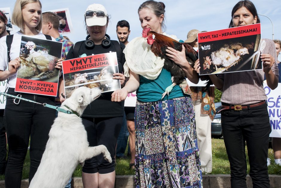 Gyvūnų teisių gynėjai protestavo prie Maisto ir veterinarijos tarnybos