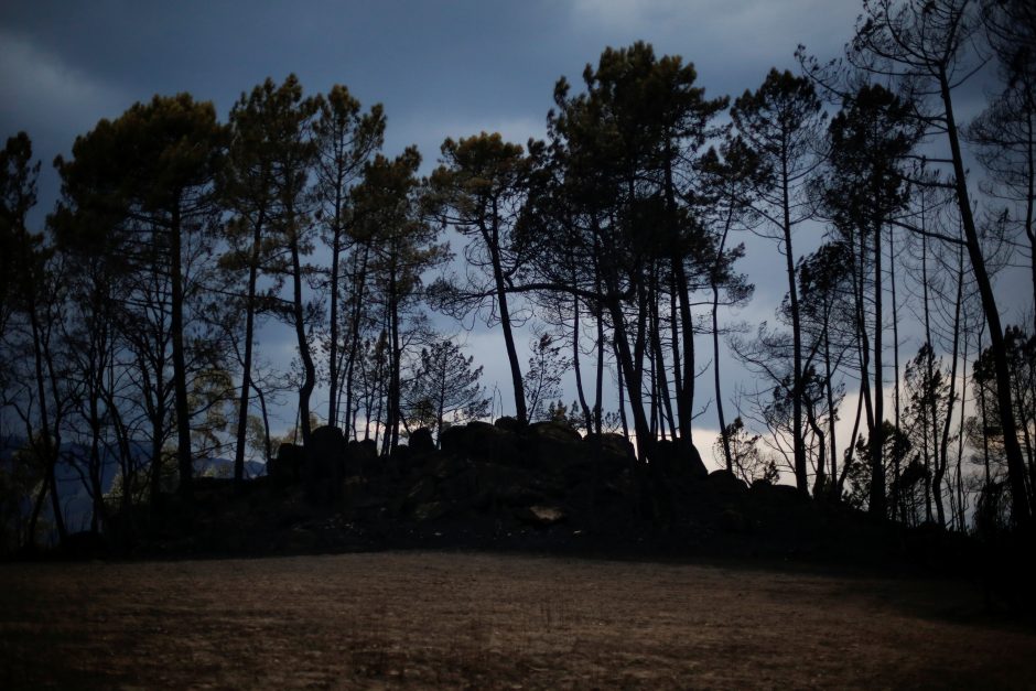 Portugalijoje per miškų gaisrus žuvusių žmonių skaičius padidėjo iki 43