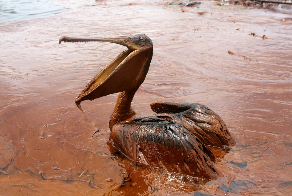 BP sumokės rekordinę 18,7 mlrd. dolerių kompensaciją dėl naftos išsiliejimo