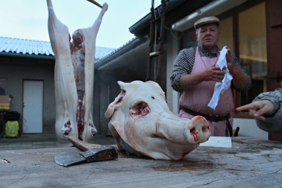 Nuo maro nukentėjusiam kiaulių ūkiui – milijoninės draudimo išmokos