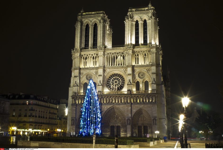 Kalėdinės eglės prie Paryžiaus katedros finansinė rėmėja – Rusija