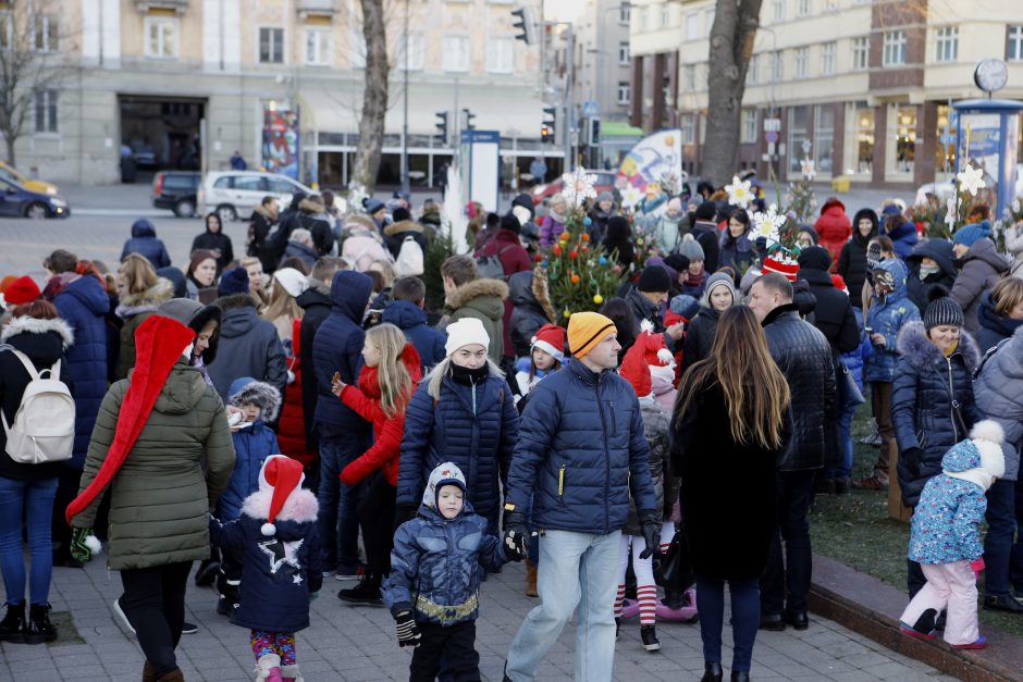 Pamatykite pirmieji: Atgimimo aikštėje išdygo eglučių miškas