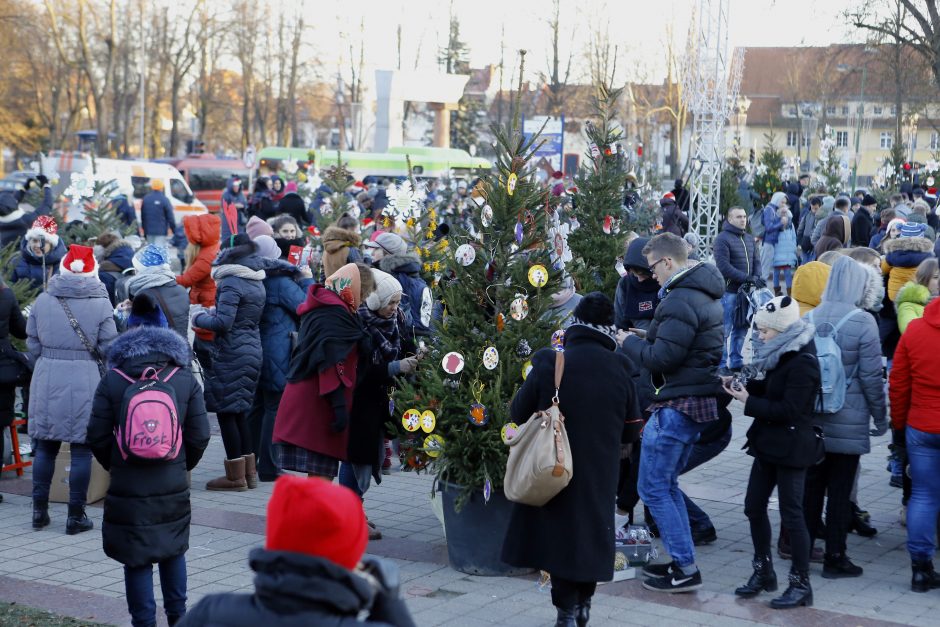 Pamatykite pirmieji: Atgimimo aikštėje išdygo eglučių miškas