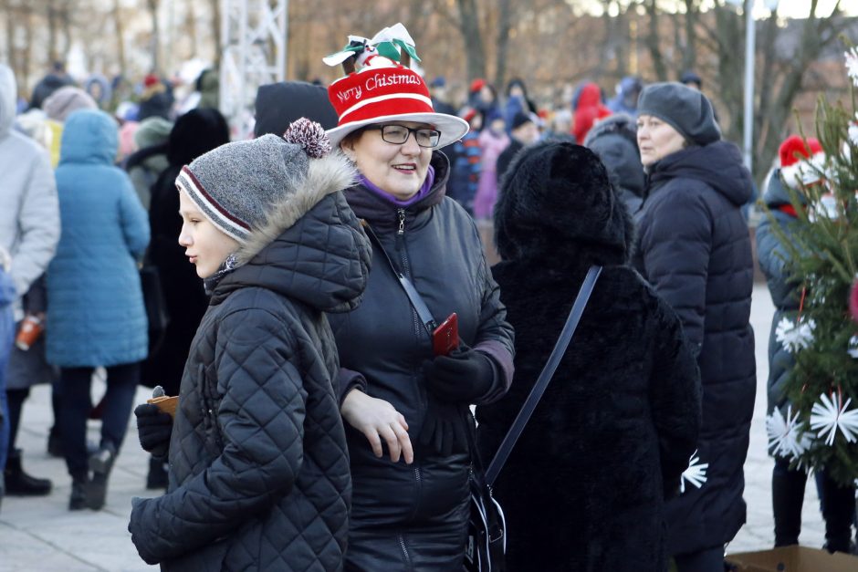 Pamatykite pirmieji: Atgimimo aikštėje išdygo eglučių miškas