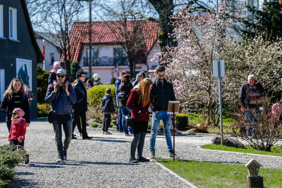 Botanikos sode surengta bendruomenės iškyla