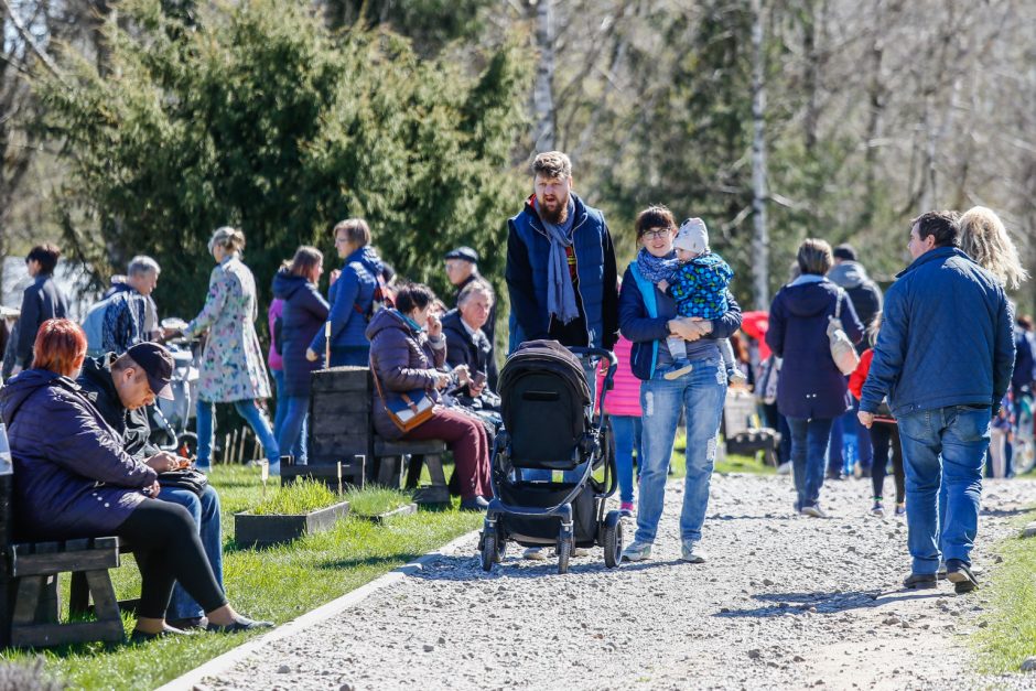 Botanikos sode surengta bendruomenės iškyla