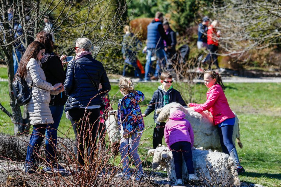 Botanikos sode surengta bendruomenės iškyla