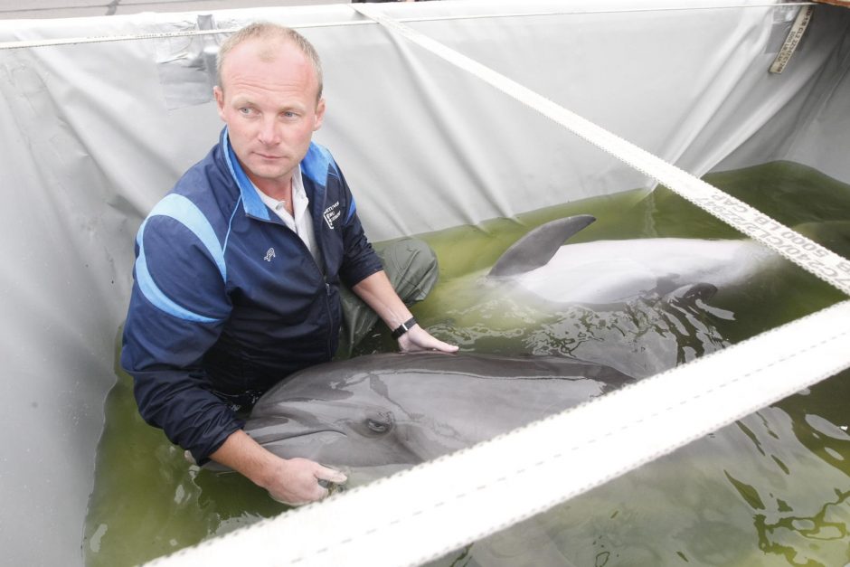 Lietuvos kariškiai iš Graikijos į Klaipėdą saugiai parskraidino keturis delfinus