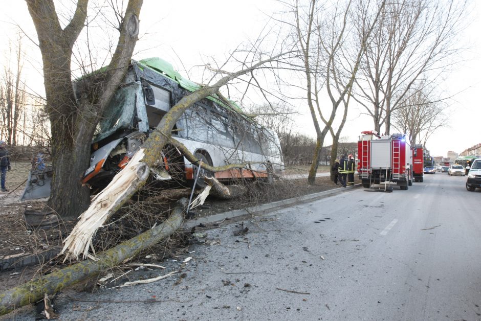 Kraupi avarija Klaipėdoje: autobusas rėžėsi į medį, sužeisti keleiviai
