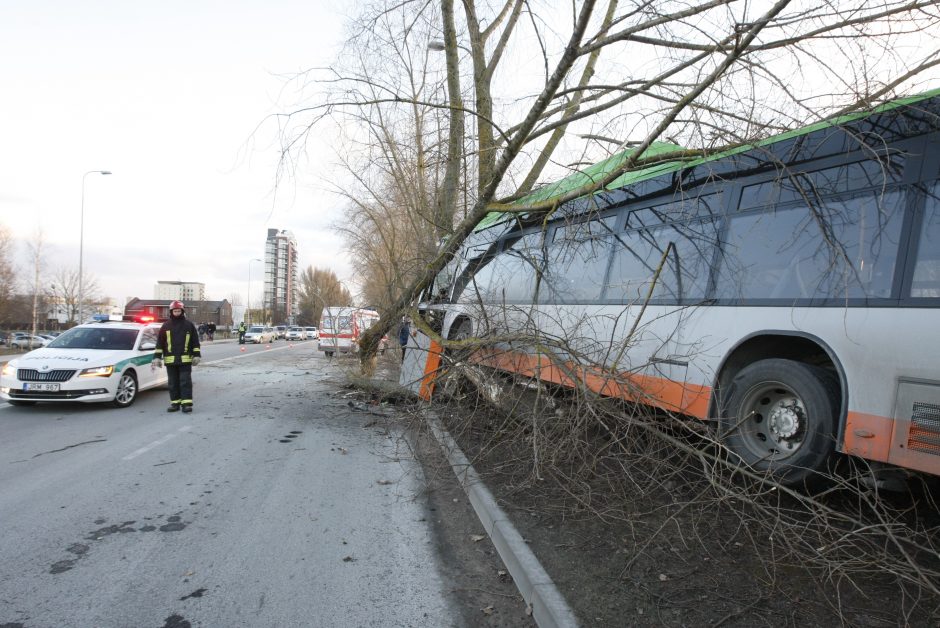 Kraupi avarija Klaipėdoje: autobusas rėžėsi į medį, sužeisti keleiviai