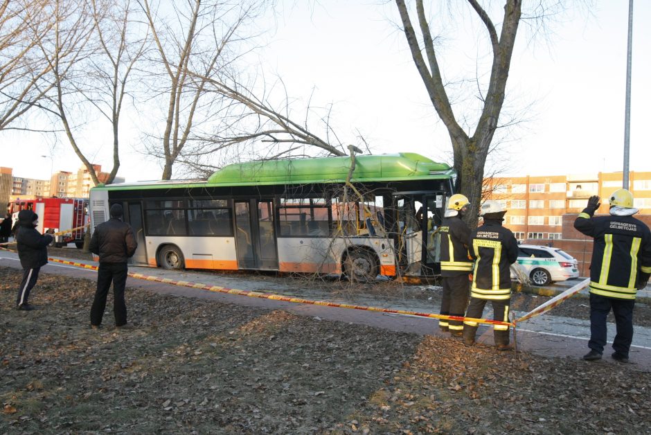 Kraupi avarija Klaipėdoje: autobusas rėžėsi į medį, sužeisti keleiviai