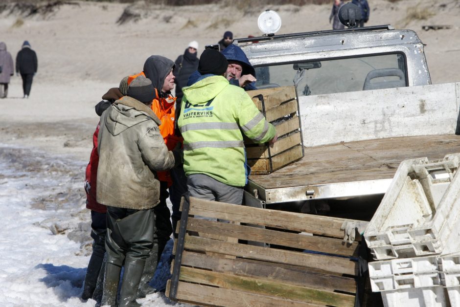 Saulėtą sekmadienio popietę pramogavo prie jūros