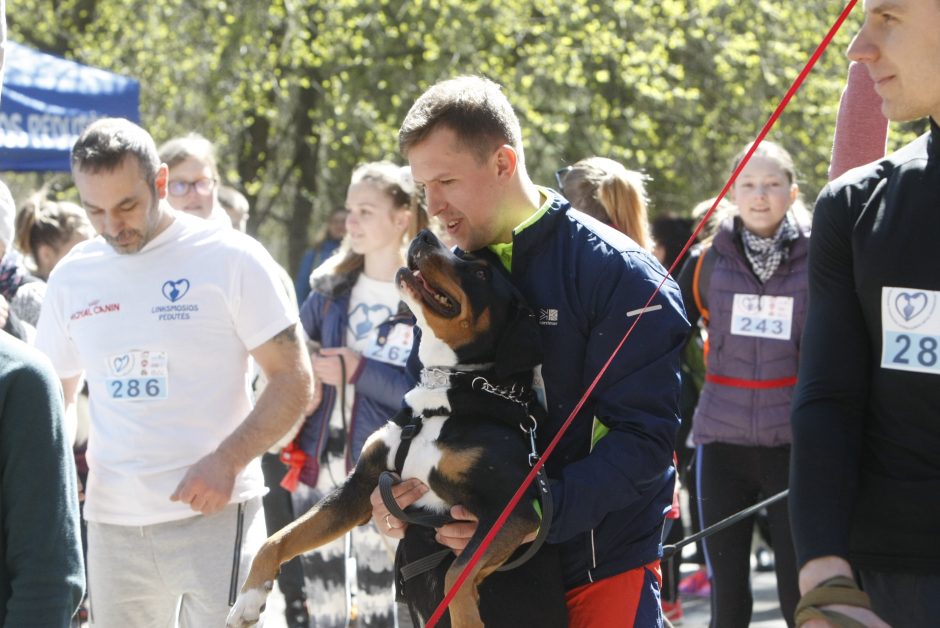 Šuns diena Klaipėdoje paminėta bėgimu su augintiniais