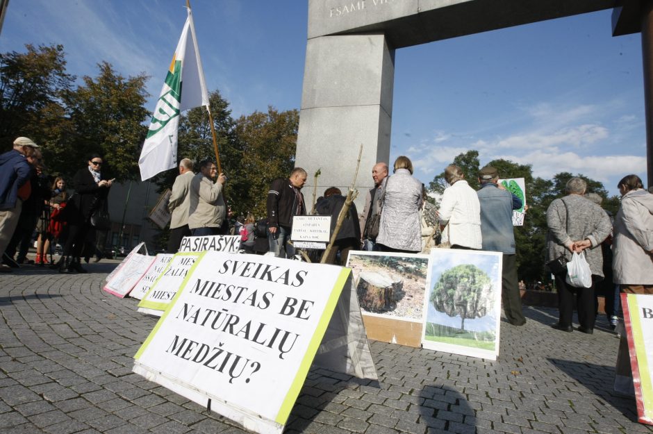 Klaipėdos žalieji dėl medžių kirtimo tikisi susitikti su S. Skverneliu