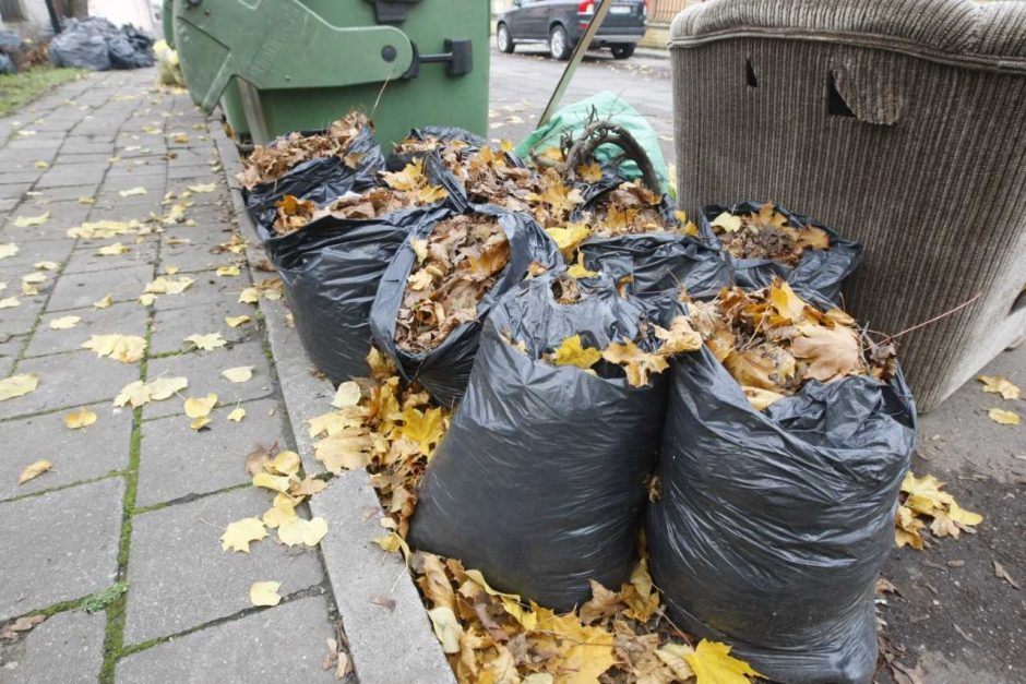 „Kauno švaros“ pagalba: rudenį puošiantys lapai vėliau nebjauros miesto