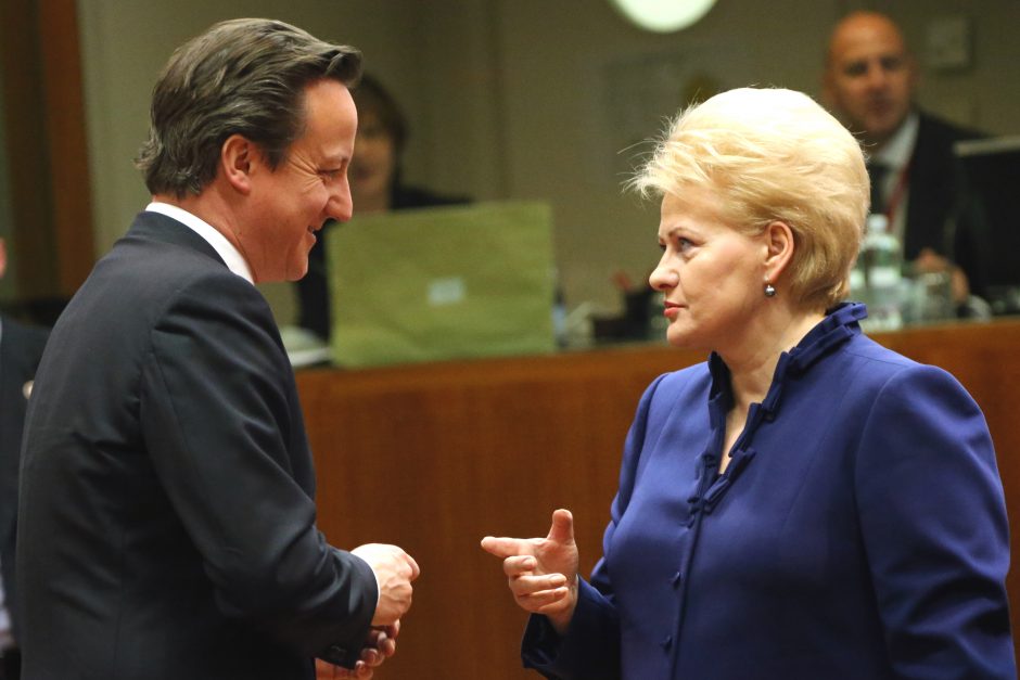 D. Grybauskaitė su D. Cameronu telefonu aptarė regiono saugumo klausimus