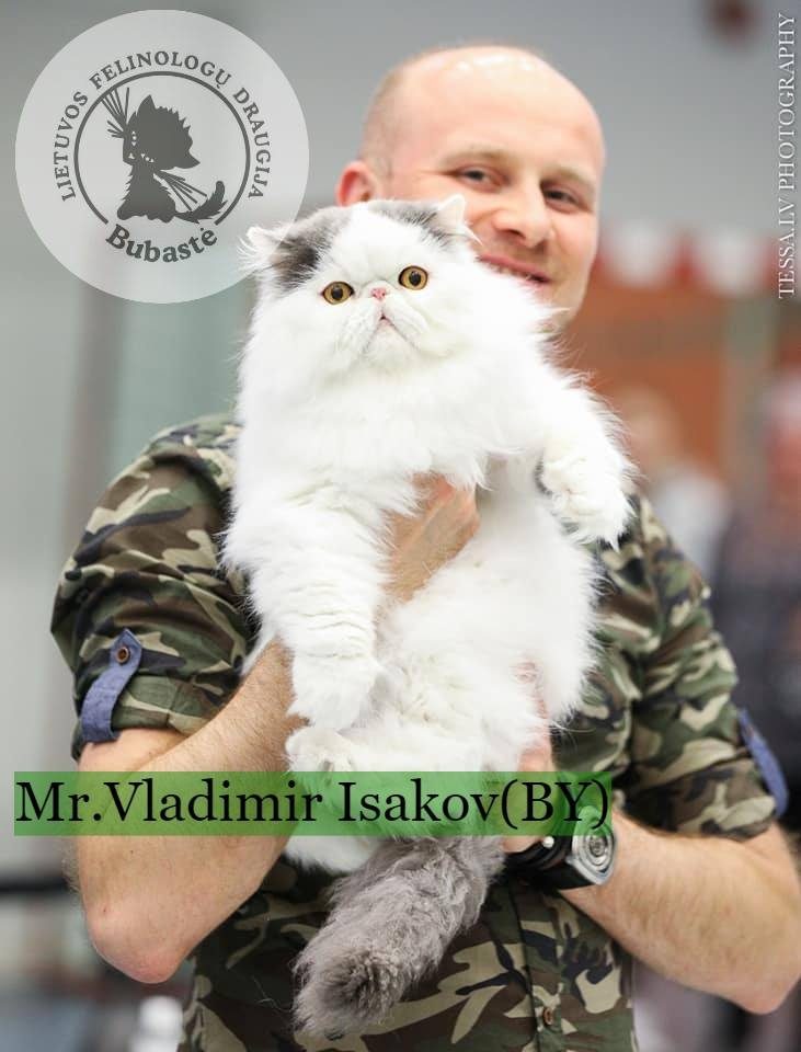Mylite kates – būtinai užsukite į parodą Vilniuje