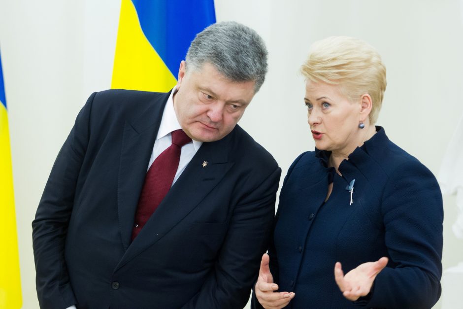 D. Grybauskaitė: Lietuva svarsto galimybę sustiprinti karinę paramą Ukrainai