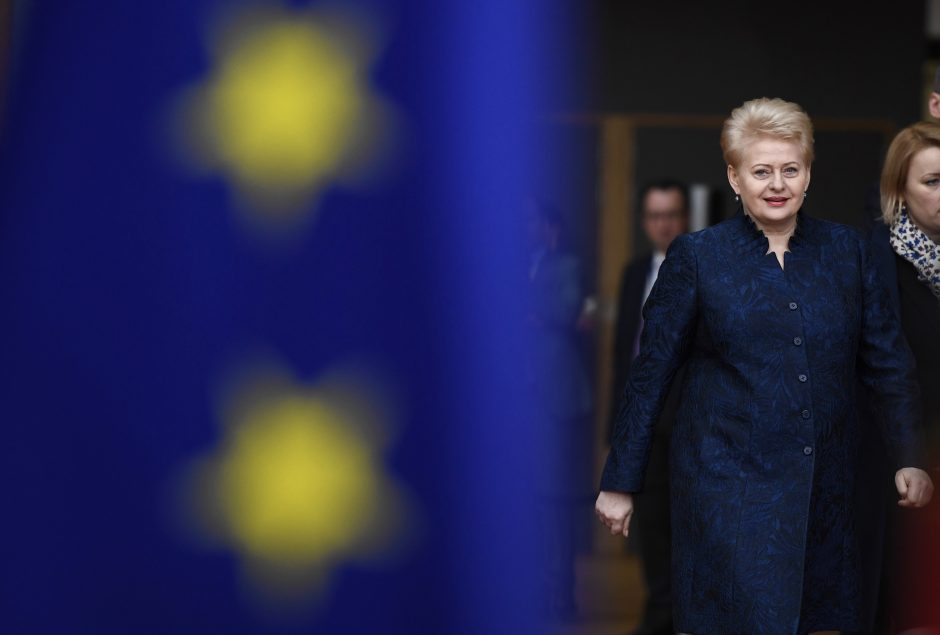D. Grybauskaitė vyksta į ES 60-mečio minėjimą Romoje