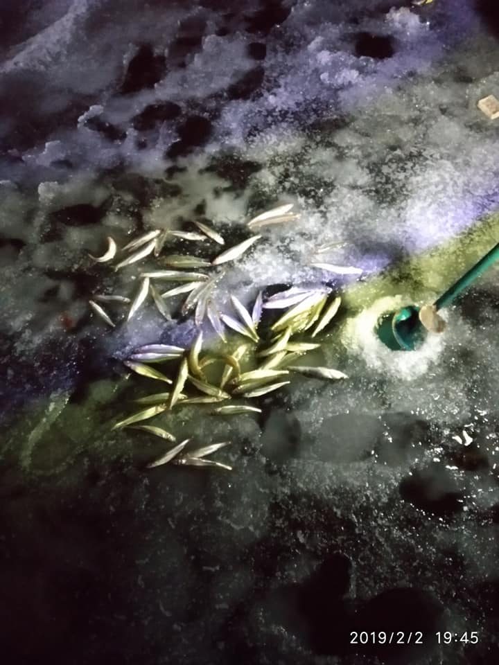 Žvejai išbando marių ledą: laimikis nedžiugina