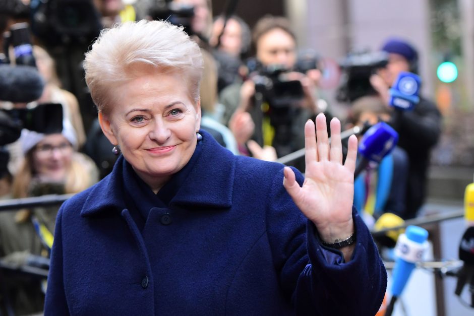 D. Grybauskaitei leista statyti namą Vilniaus pakraštyje