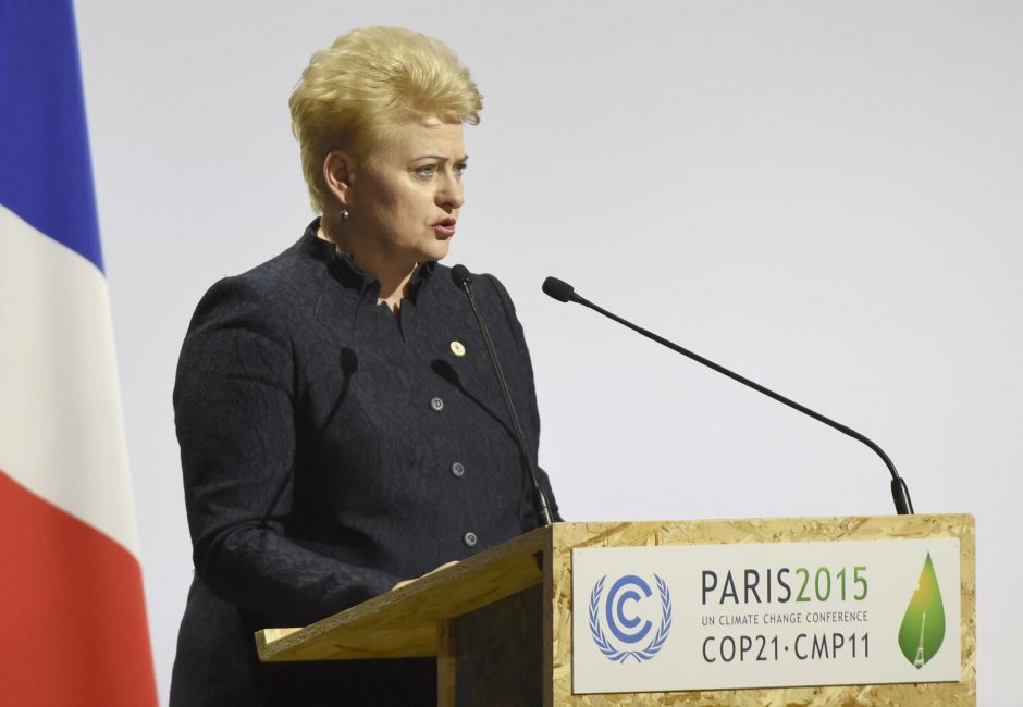 Kovoje su klimato kaita Lietuva – tarp lyderių