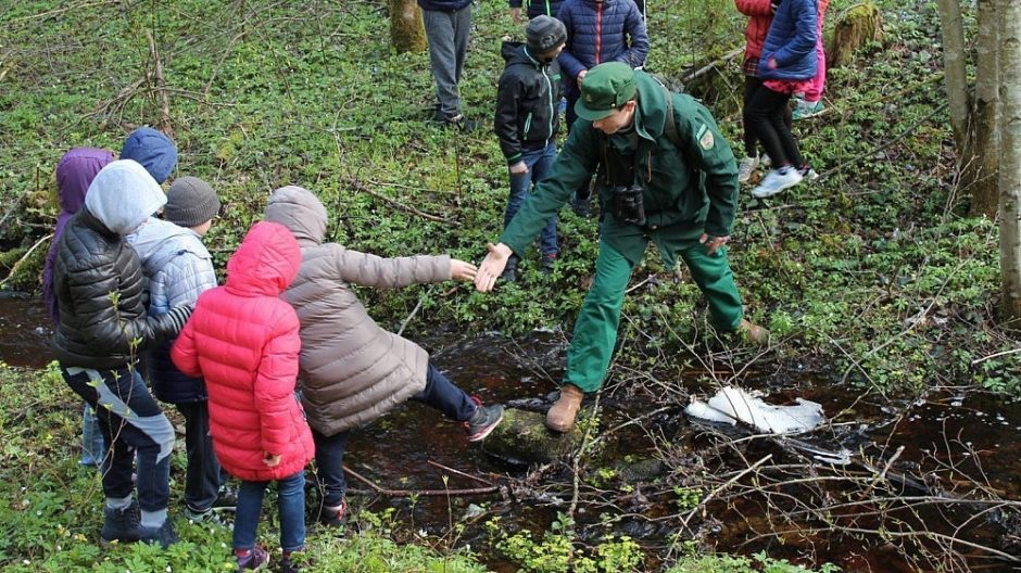 Susipažinti su šalies gamta bus paprasčiau