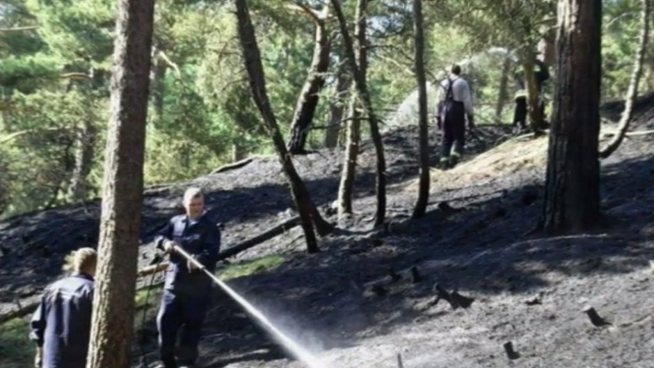 Nidoje keliose vietose degė miškas, įtariamas padegimas