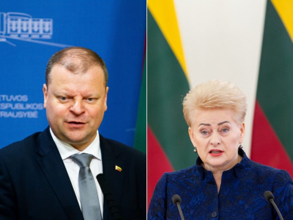 D. Grybauskaitė: premjeras daro tarptautinę gėdą