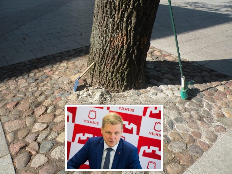 R. Šimašius piktinasi: degradai niokoja Vilniaus medžius