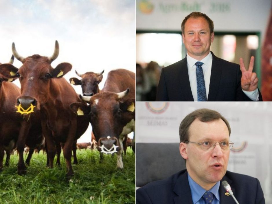 N. Puteikis skundžia žemės ūkio ministrą už vizitą veršelių fermoje