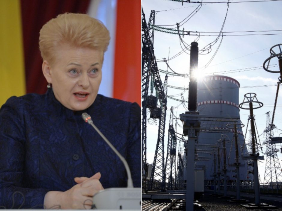 D. Grybauskaitė: būtina siekti Astravo jėgainės uždarymo