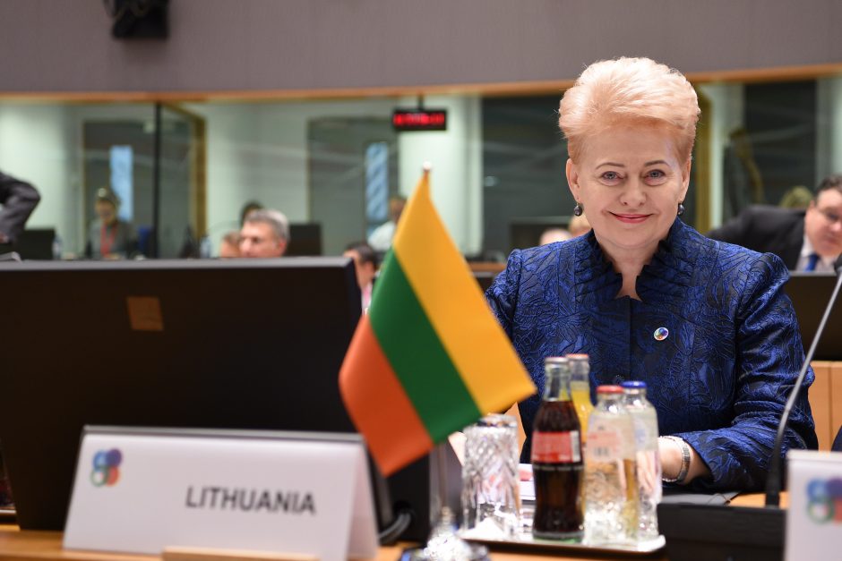 D. Grybauskaitė: Ukrainai reikia daugiau užsispyrimo vykdant reformas