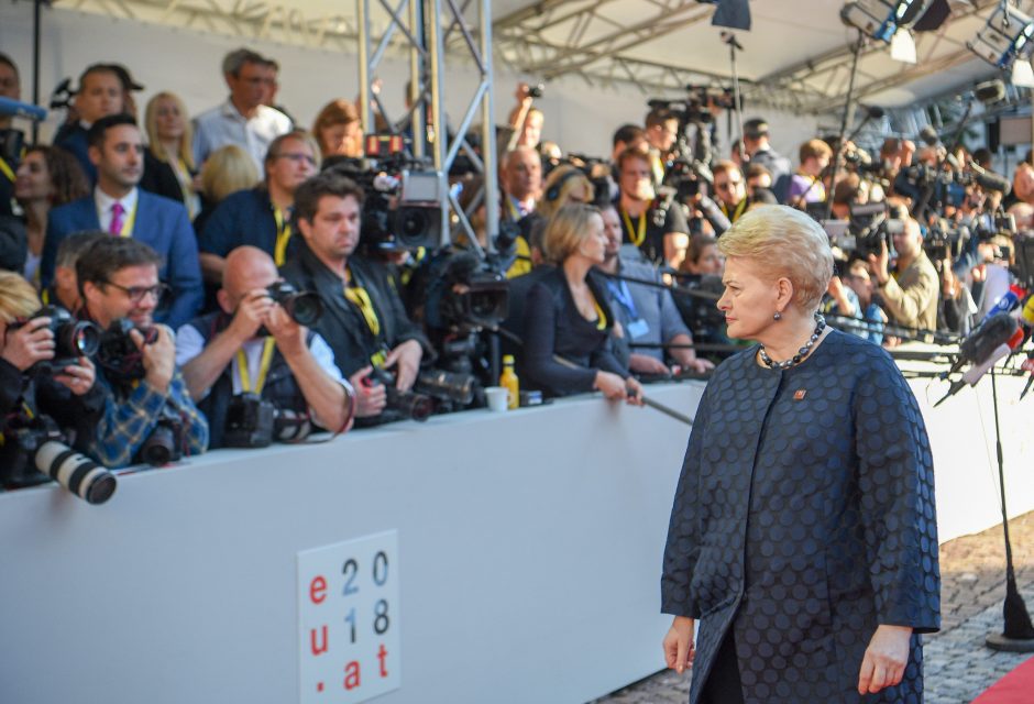 Lietuva siūlo ES kurti bendrą sienos apsaugos standartą