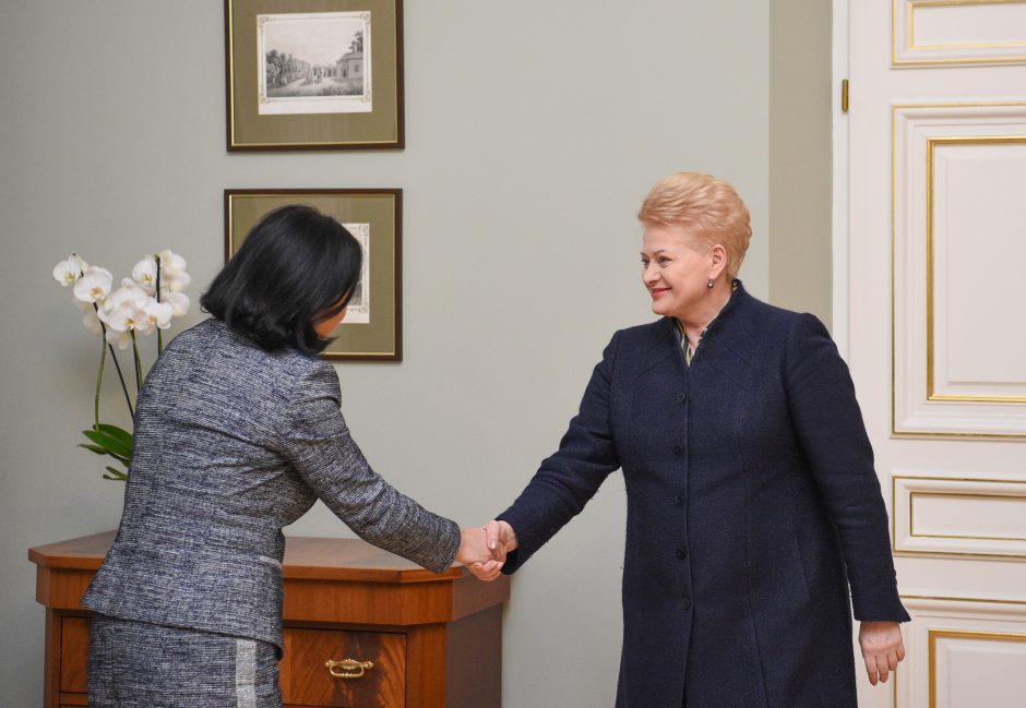 D. Grybauskaitė: Lietuva ir ES stato užkardas kišimuisi į rinkimus