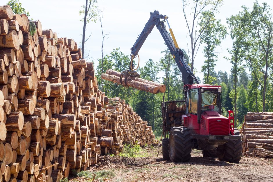 Miškų savininkai nenori mokėti medienos apyvartos mokesčio