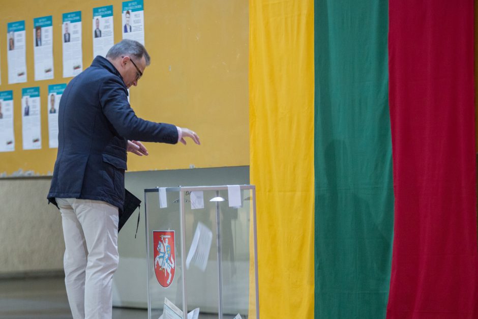 Tyrimas: Lietuva demokratijos kokybe lenkia Latviją ir Lenkiją