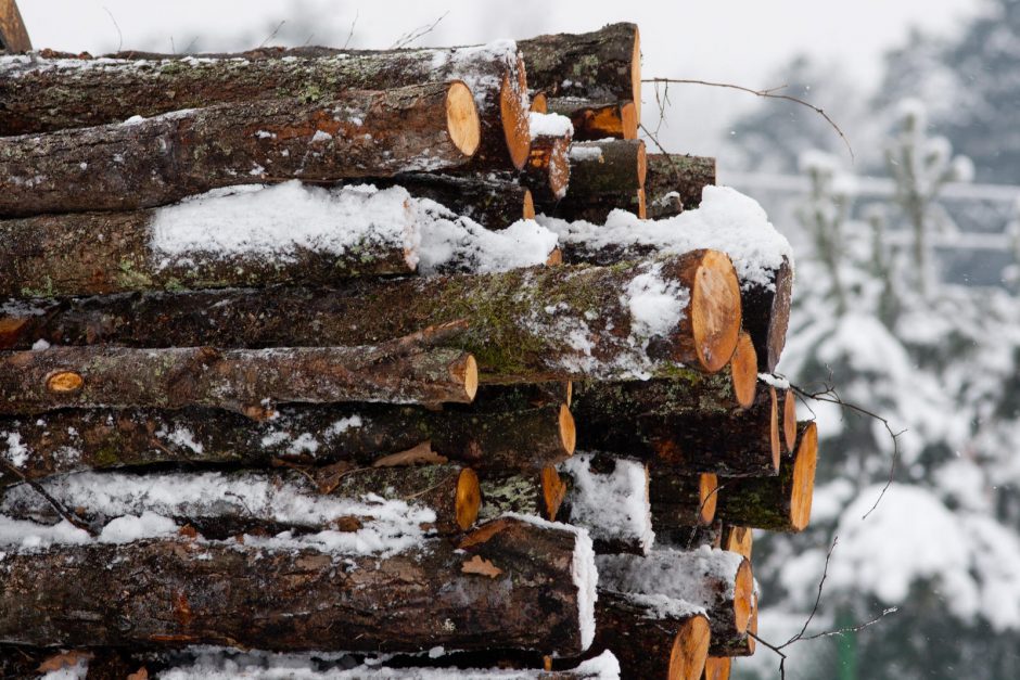 Siūloma įstatymais stabdyti nežabotą miškų išpardavimą