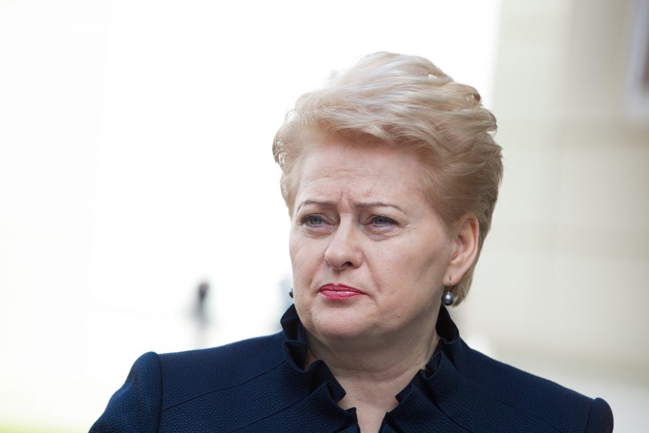D. Grybauskaitė: migrantų krizei įveikti reikalinga Turkijos pagalba