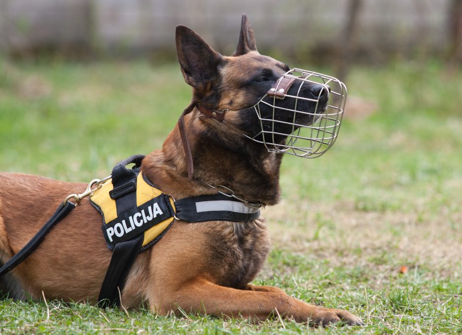 Tarnybiniai policijos šunys prieš motociklų mėgėjus – 2:0