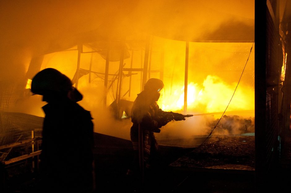 Vilniaus rajone per gaisrą sudegė moteris