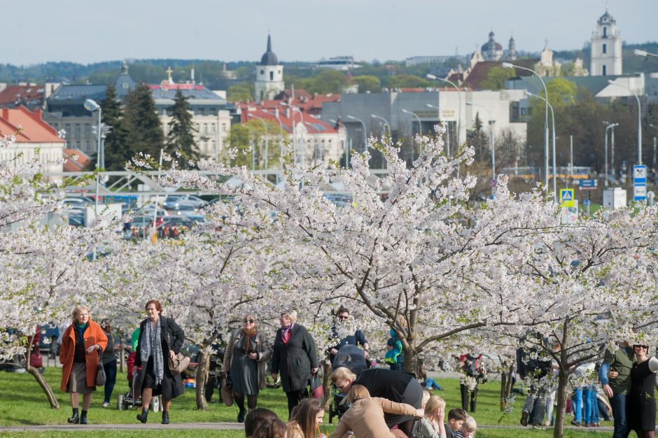 Vilnius pirmauja tarp ES sostinių: turistams siūlo bene mažiausias kainas